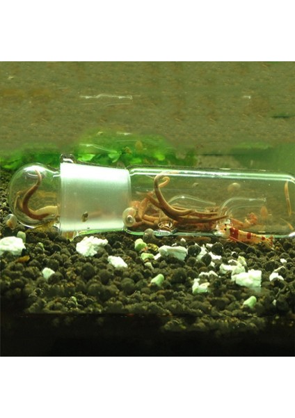 B Tarzı Akvaryum Planarian Tuzak Balık Tankı Solucan Tuzak Balık Tankı Zararlı Yakalama Tuzak Sülük Yakalayıcı Planarian Flatworm Için (Yurt Dışından) fırsatları