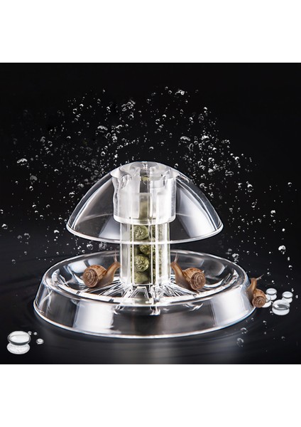 Şeffaf Stil 6cm Şeffaf Akvaryum Balık Tankı Plastik Berrak Salyangoz Tuzak Balık Tankı Sülük Vivaryumu Planarian Zararlı Yakalama Akvaryum Temizleme Aracı (Yurt Dışından) fiyatları