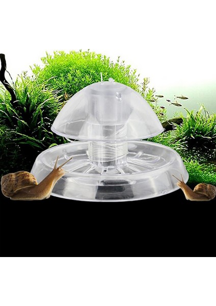 Stili Temizle L Beden Akvaryum Balık Tankı Plastik Berrak Salyangoz Tuzak Yakalayıcı Bitkiler Planarian Zararlı Yakalama Kutusu Sülük Hava Deliği ile Temizlik Araçları (Yurt Dışından)