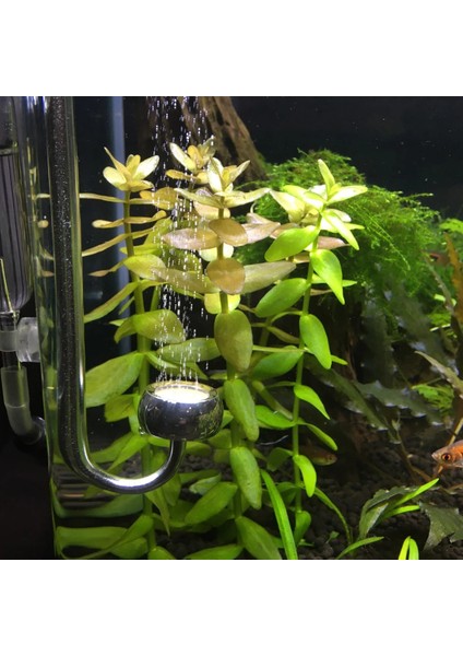 Seramik Rp-L 2 Adet Tarzı Yeni Ros Co2 Difüzör Paslanmaz Çelik Co2 Akvaryum Balıkları Tankı Için Küçük Kabarcık Difüzörü Balık Tankları Için Su Bitkisi (Yurt Dışından) fırsatları