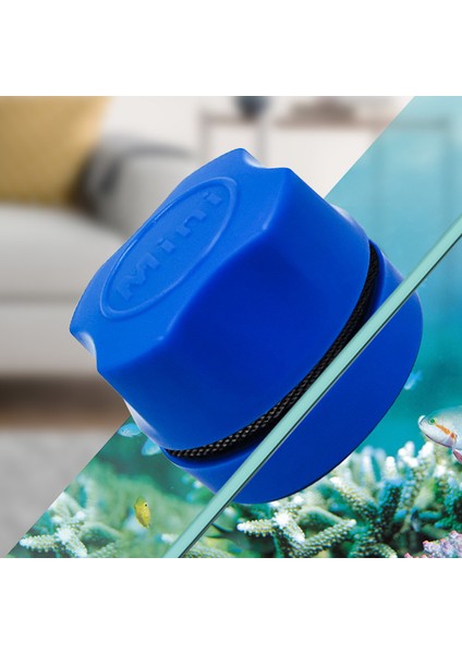 Bu Tarzı Yeni Pencere Temizlik Mıknatısı Temiz Fırça Akvaryum Balık Tankı Manyetik Cam Yüzen Yosun Temizleyici Kavisli Cam Temizleyici Süpürge (Yurt Dışından) fiyatları