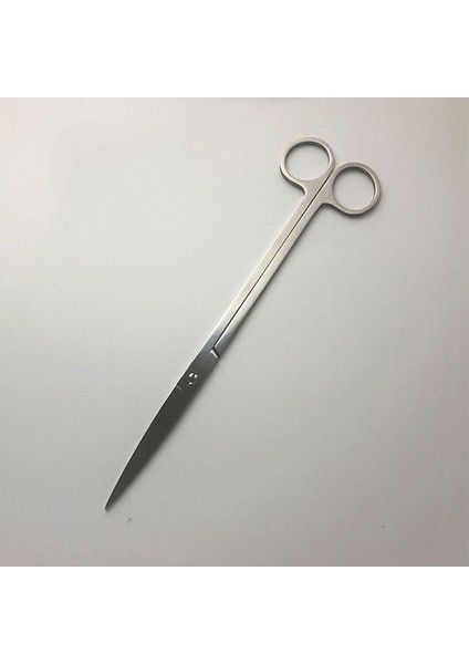 Düz Stil 25CM Paslanmaz Çelik 9.8' Akvaryum Düz Kavisli Dalga Veya Su Ürün Tankı Tuzlu Tatlısu Bitkili Temizlik Aracı (Yurt Dışından)