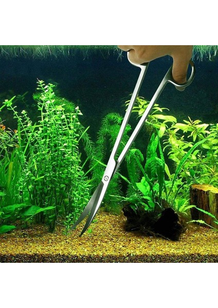 Düz Stil 25CM Paslanmaz Çelik 9.8' Akvaryum Düz Kavisli Dalga Veya Su Ürün Tankı Tuzlu Tatlısu Bitkili Temizlik Aracı (Yurt Dışından) modelleri