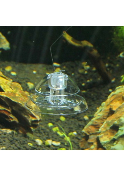 No.2 Tarzı Beyaz Şeffaf Salyangoz Tuzak Yakalayıcı Bitkiler Planarian Zararlı Plastik Yakalama Bitki Tankı Akvaryum Ortamı Temiz Sıcak Sülük Akvaryum Balık Yakalayıcı (Yurt Dışından) fırsatları