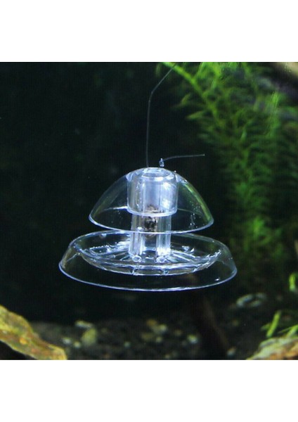 No.2 Tarzı Beyaz Şeffaf Salyangoz Tuzak Yakalayıcı Bitkiler Planarian Zararlı Plastik Yakalama Bitki Tankı Akvaryum Ortamı Temiz Sıcak Sülük Akvaryum Balık Yakalayıcı (Yurt Dışından) indirimleri