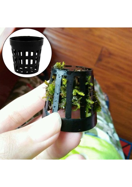 1 Adet Tarzı Su Kupası Akvaryum Bitkileri Fileli Saksı Hidroponik Kolonizasyon Ağ Kupaları 4*4cm Plastik Siyah Balık Tankı Su Bitkisi Yetiştirme Sepeti 1 Adet (Yurt Dışından)