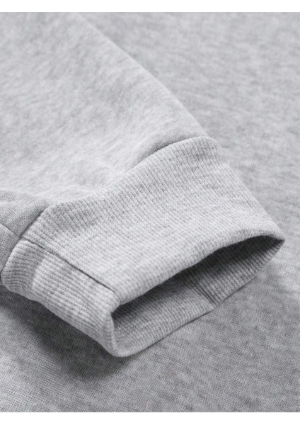 Beast Baskılı Erkek Gri Kapüşonlu Alt Üst Oversize Eşofman Takımı fiyatları