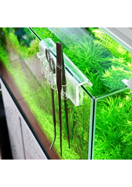 Beyaz Stil Akvaryum Bitki Araçları Depolama Rafı Akrilik Tutucu Cımbız Kazıyıcı Veya Balık Tankı Su Ot Temizleme Aracı Aksesuarları (Yurt Dışından) fırsatları