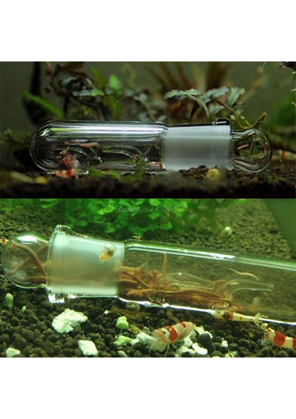 Resim Stili Gibi Salyangoz Sülük Vivaryum Zararlı Yakalama Tuzak Karides Solucan Planaria Sülük Yakalayıcı 3 Delik (Yurt Dışından) modelleri