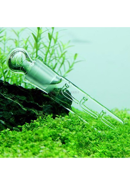 Resim Stili Gibi Salyangoz Sülük Vivaryum Zararlı Yakalama Tuzak Karides Solucan Planaria Sülük Yakalayıcı 3 Delik (Yurt Dışından) fırsatları