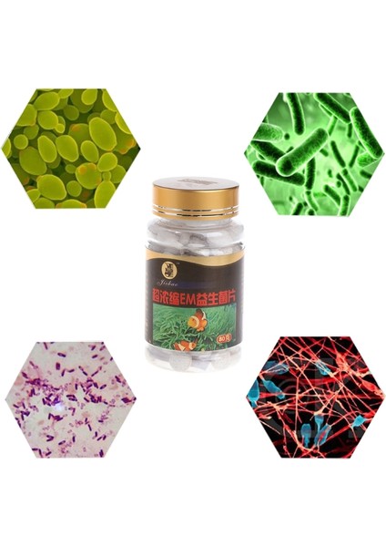 1 Şişe Tatlısu ve Deniz Su Yuvası Için 80G Nitrifikasyon Bakterisi (Yurt Dışından) modelleri