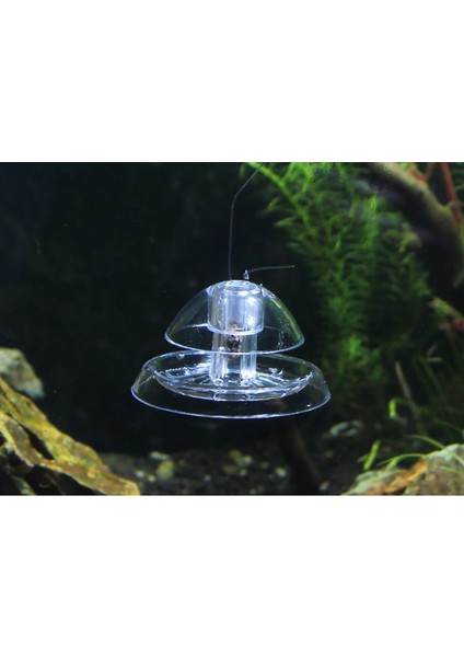 6cm Tarzı Akvaryum Salyangoz Tuzak Planarya Tutucu Zararlı Tutucu Kutusu Hidroponik Bitkiler Temizleme Aracı Balık Tankı Aksesuarları (Yurt Dışından) modelleri