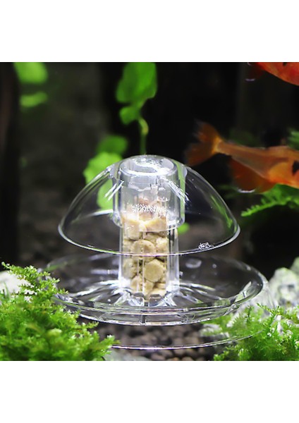 Şeffaf Stil 8cm Şeffaf Akvaryum Balık Tankı Plastik Berrak Salyangoz Tuzak Balık Tankı Sülük Vivaryumu Planarian Zararlı Yakalama Akvaryum Temizleme Aracı (Yurt Dışından) fırsatları