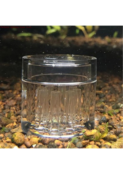 Resim Gösterisi Stili Olarak Akvaryum Temizleyici Aracı 8 Delikli Salya Tuzak Şeffaf Kan Emici Vivarium Planarian Zararlıları Yakalama Kalem Kırmızı Balık Solucan Yem Kutusu (Yurt Dışından)