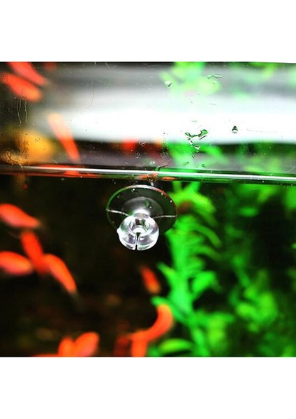 Kristal Berraklığında Stil Tek Boyut Plastik Akvaryum Emme Kupası Tutucu Balık Tankı Emme Kupası Hava Pompası Hava Hattı Tutucu Akvaryum Aksesuarı (Yurt Dışından) fırsatları