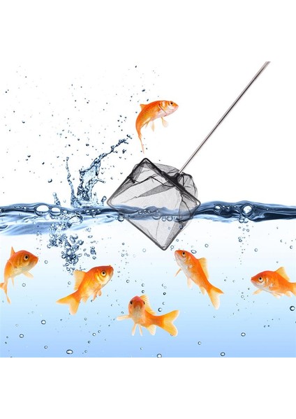 Siyah Stil 60X15X1CM Uzun Saplı Teleskopik Ince Ağlı Balık Tankı Ağı, Akvaryum Gölleri Için Uzatılabilir Saplı Balık Tankı Ağı (Yurt Dışından) indirimleri