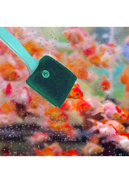 40CM Tarzı Akvaryum Balık Tankı Cam Bitki Temizleme Fırçaları Yüzen Temiz Pencere Yosunu Kazıyıcı Sünger Aksesuarları Araçları Yüksek Uygulama (Yurt Dışından) indirimleri