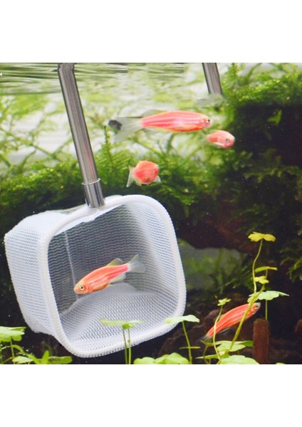 Dikdörtgen Stili M Beden Balık Tankı Ağı Yenilenebilir Yuvarlak Dikdörtgen Kare Frimp Yakalama Için Akvaryum Araçları (Yurt Dışından) fiyatları