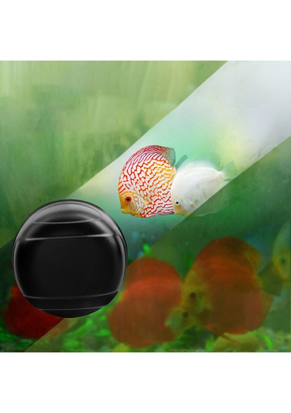 4x4.8cm Stili Mini Yuvarlak Manyetik Akvaryum Balık Tankı Cam Yosun Temizleyici Süpürge Yüzen Temiz Fırça (Yurt Dışından) indirimleri