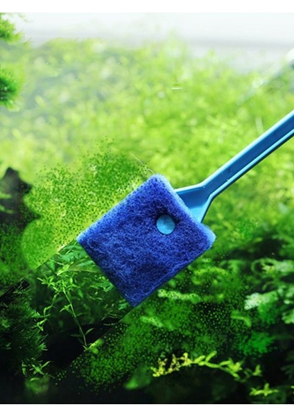 Mavi Stil Akvaryum Balık Tankı Temizleme Fırçası Çift Taraflı Yosun Temizleme Fırçası Balık Tankı Fırçası Uzun Saplı Fırça Çift Taraflı Temizlik Dayanıklı (Yurt Dışından) indirimleri