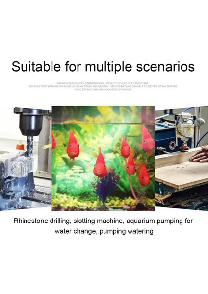 Beyaz Stil M USB Mini Akvaryum Filtresi Oksijen Hava Pompası Balık Tankı Için Ultra Sessiz Verimli Akvaryum Tankı Aksesuarları (Yurt Dışından) indirimleri