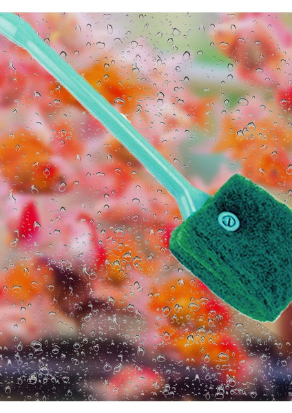 40CM Tarzı Balık Tankı Kaymaz Tutma Sapı Sünger 40CM Temizlik Fırçası Yeşil Akvaryum Temizleyici Plastik Araçlar Aksesuarlar Cam Fırça Dro (Yurt Dışından) fırsatları