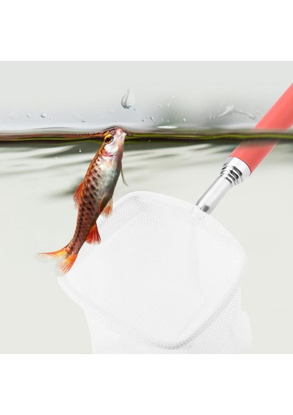 Yeşil Stil Kare Akvaryum Balık Ağı Uzatılabilir Teleskopik Fırın Skimming Ağı Mini Ayarlanabilir Balık Tankı Temizleyici Balıkçılık Sepetleri (Yurt Dışından) fırsatları