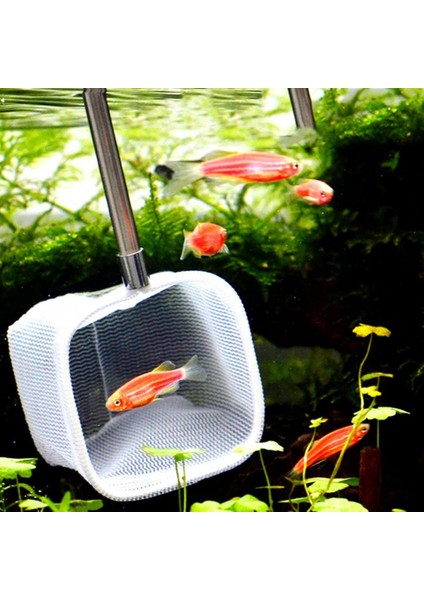 Rastgele Renk Stili Büyük Yuvarlak Taşınabilir Mini Ayarlanabilir Teleskorimp Balık Ağı Akuarium Aksesuarı (Yurt Dışından) fırsatları