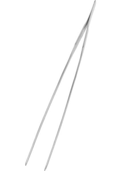 Çarpık Stil En Iyi Promosyon Universal 27CM Akvaryum Bitkisi Karides Mercan Tankı Düz Cımbız Paslanmaz Çelik Taşlı Cımbız (Yurt Dışından) fırsatları