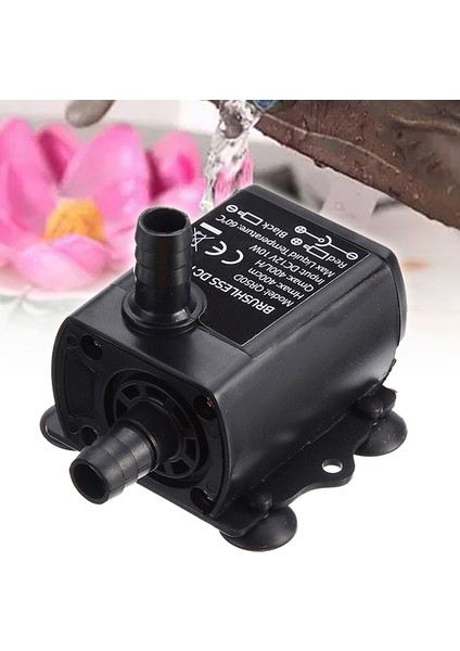 Ultra Sessiz Daldırma Su Pompası Dc 12V 10W Mikro Çeşme Pompası Fırçasız Pompa Filtre Su Geçirmez Akvaryum 400LH (Yurt Dışından)