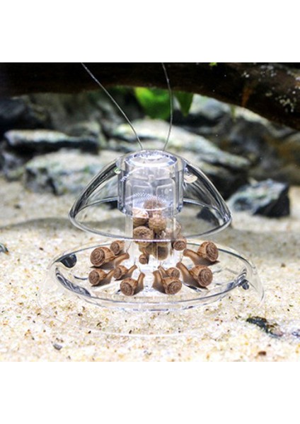 Stili Temizle 6cm Akvaryum Balık Bitki Tankı Plastik Berrak Salyangoz Tuzak Yakalayıcı Bitkiler Planaria Zararlı Yakalama Kutusu Sülük Çevre Temizlik Aracı Yeni (Yurt Dışından) fiyatları