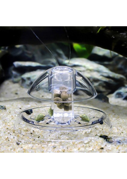 Stili Temizle 6cm Akvaryum Balık Bitki Tankı Plastik Berrak Salyangoz Tuzak Yakalayıcı Bitkiler Planaria Zararlı Yakalama Kutusu Sülük Çevre Temizlik Aracı Yeni (Yurt Dışından) modelleri