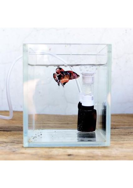 Sessiz Dahili Filtre Akvaryum Hava Pompası Mini Filtre Balık Tankı Oksijen Pompası Aksesuarlar Süzgeç Biyokimyasal Sünger Filtre (Yurt Dışından)