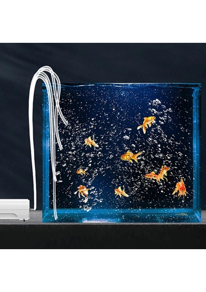 768 Ab Fiş Stili Ultra-Sessiz Akvaryum Hava Pompası 8W Hava Kompresörü 4 Çıkışlı Hava Taşı Için Oksijen Artırıcı Siyah Pompalı Hava Balık Tankı Akvaryum 220V (Yurt Dışından) fırsatları