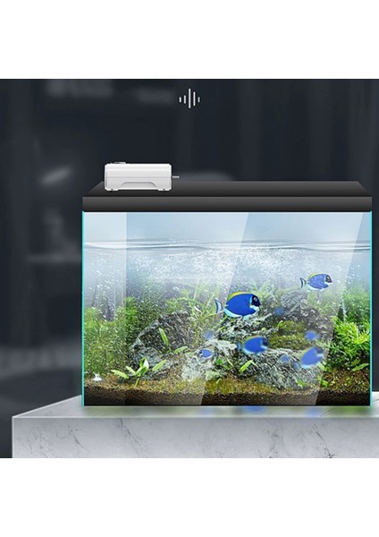 768 Ab Fiş Stili Ultra-Sessiz Akvaryum Hava Pompası 8W Hava Kompresörü 4 Çıkışlı Hava Taşı Için Oksijen Artırıcı Siyah Pompalı Hava Balık Tankı Akvaryum 220V (Yurt Dışından) indirimleri