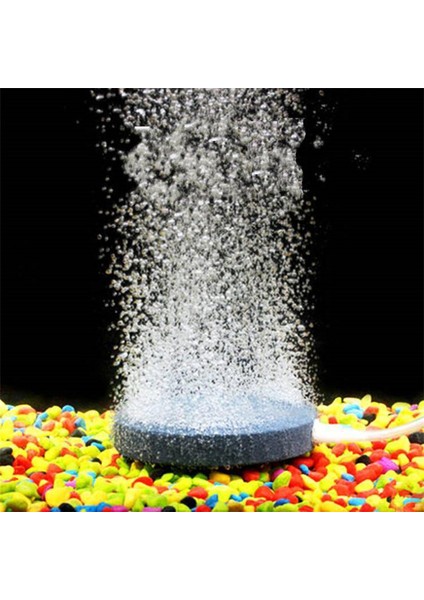 60MM Hava Kabarcığı Taş Aerator Gölet Pompası Hava Taşı Kabarcık Diski Akvaryum Hava Pompası Hidroponik Oksijen Tabakası Için Akvaryum Balık Tankı (Yurt Dışından)