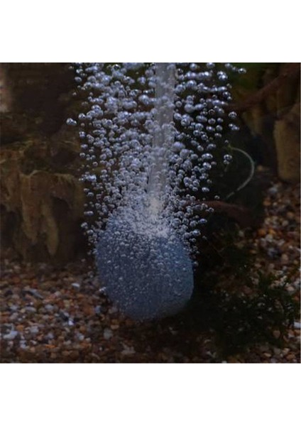 Resim Stili Olarak Tek Boyut 80MM Akvaryum Hava Kabarcık Taşı Balık Tankı Havalandırıcı Havuz Pompası Kabarcık Diski Akvaryum Hava Pompası Hidroponik Oksijen Plakası Için Balık Tankı (Yurt Dışından) modelleri