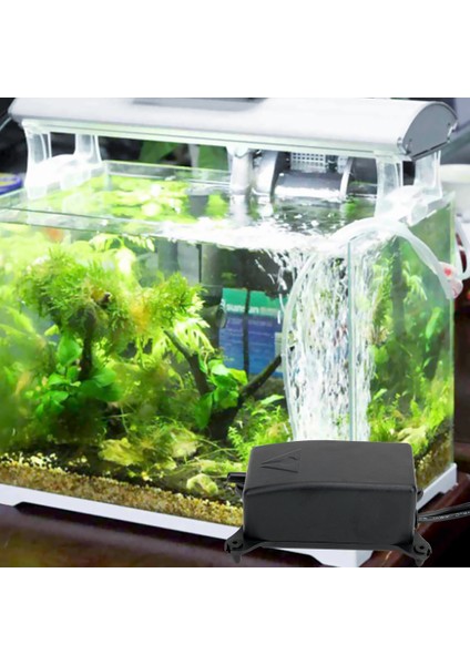 Ab Fiş Stili M Beden Nıceyard Ab Elektrikli Balık Tankı Hava Pompası Enerji Tasarruflu Süzgün ve Kaymaz 2 W Oksijen Arttırıcı Pompası (Yurt Dışından) fırsatları