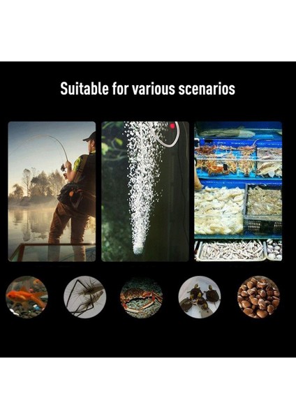 Siyah Stil Akvaryum Balık Tankı Taşınabilir Mini Sucul Teraryum USB Oksijen Hava Pompası Sessiz Enerji Tasarruflu Malzemeler Balık Tankı Aksesuarları (Yurt Dışından) indirimleri