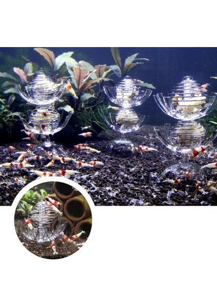 Şeffaf Akrilik Karides Yakalama Aracı ve Emiş Kupasıyla Küçük Tropikal Balık Akvaryumu Için Frimp - E-Ticaret Ürünü (Yurt Dışından) fiyatları