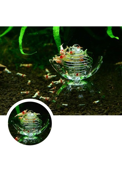 Şeffaf Akrilik Karides Yakalama Aracı ve Emiş Kupasıyla Küçük Tropikal Balık Akvaryumu Için Frimp - E-Ticaret Ürünü (Yurt Dışından) modelleri