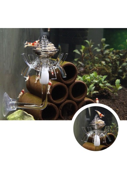 Şeffaf Akrilik Karides Yakalama Aracı ve Emiş Kupasıyla Küçük Tropikal Balık Akvaryumu Için Frimp - E-Ticaret Ürünü (Yurt Dışından) fırsatları