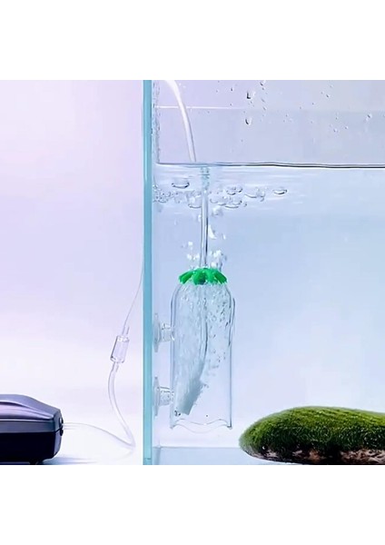 Akvaryum Tankı Hava Kabarcıklı Şeffaf Akrilik Su Bardağı Emme Kupaları Kabarcıkları ve Sıçramaları Önleyin R7UB (Yurt Dışından) fırsatları