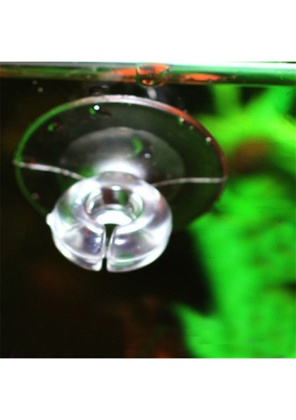 10 Adet Tarzı Akvaryum Emme Kupası Balık Tankı Oksijen Pompası Yumuşak Boru Havalandırıcı Tutucu Sabitleme Çerçevesi Sabitleme Emici (Yurt Dışından) fırsatları