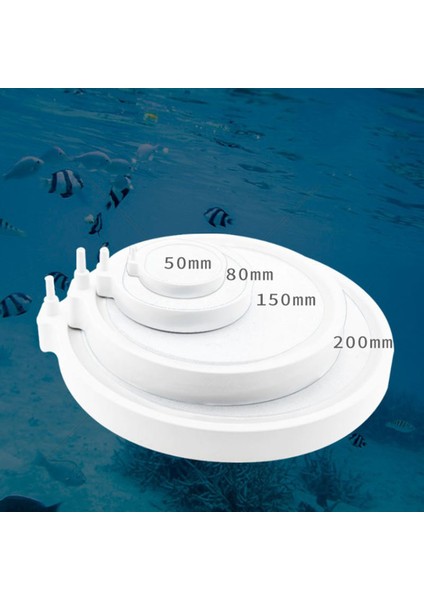 Beyaz 5cm Tarzı Çap 5cm 50MM Balık Tankı Akvaryum Hava Taşı Oksijen Aerator Hava Kabarcığı Havuzu Pompa Hidroponik Oksijen Kaynağı Büyük (Yurt Dışından) fırsatları