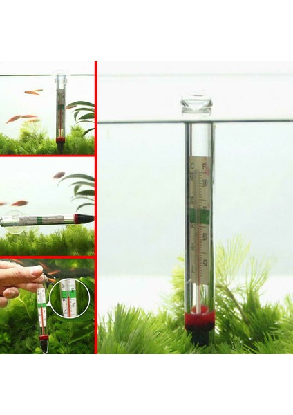 Akvaryum Termometresi Daldırılabilir Cam Balık Tankı Termometre Aksesuarları Su Sıcaklığını Ölçme Su Geçirmez Emme Kupası (Yurt Dışından) fiyatları
