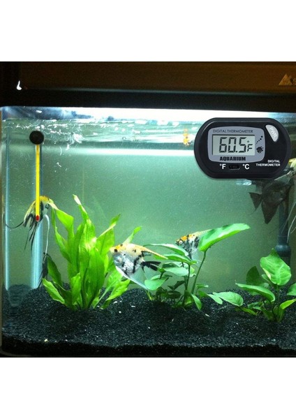 Sarı Stil LCD Dijital Akvaryum Termometresi Balık Tankı Su Terraryum Sıcaklık ile Vantuz X4YE (Yurt Dışından) fırsatları