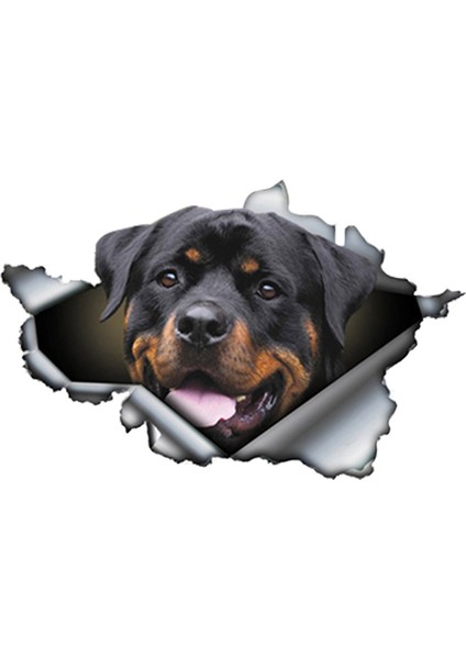 Yansıtıcı Stil B Tarzı Komik Rottweiler Araba Sticker Yırtık Metal Dekal Yansıtıcı Stickerlar Evcil Köpek Çıkartmaları 3D Rott Araba Stili, 13CM*8CM (Yurt Dışından) modelleri