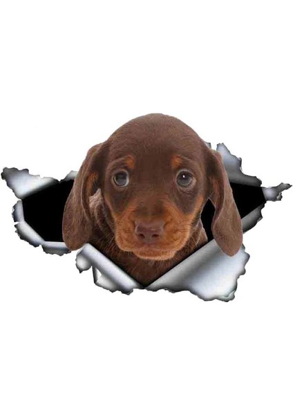 Yansıtıcı Olmayan Stil Stil H 13CM x 9cm 3D Kahverengi Dachshund Hayvan Araba Sticker Yırtık Metal Etiket Yansıtıcı Sticker Su Geçirmez Araba Tasarımı Evcil Hayvan Köpek Etiketler (Yurt Dışından)