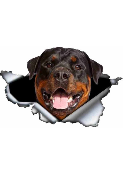 Yansıtıcı Stil Stil I Komik Rottweiler Araba Sticker Yırtık Metal Dekal Yansıtıcı Stickerlar Evcil Köpek Çıkartmaları 3D Rott Araba Stili, 13CM*8CM (Yurt Dışından) fırsatları
